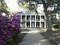 Shadowsontheteche