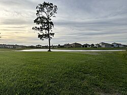 The geographic center of Winter Beach, Indian River County, Florida.jpg