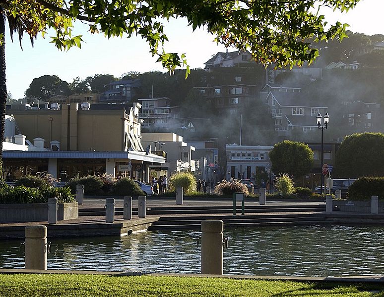 TiburonDowntown