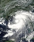 Tropical Storm Barry (2001).jpg