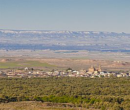 Vista general de Codo.