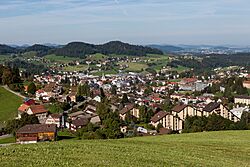 2011-Herisau.jpg