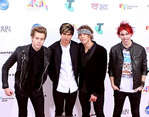 Archivo:5 Seconds of Summer 2014