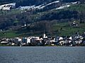 Altendorf - Obersee - Hurden IMG 5227