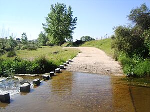 Archivo:Arroyo de Tejada cerca de Tres Cantos