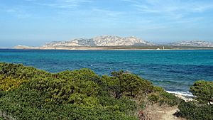 Archivo:Asinara-Island01
