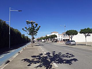 Avenida de Sevilla, Los Rosales.jpg