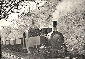 Borsig narrow-gauge steam locomotive 0-6-2T, works No 6022 of 1906, 600mm gauge, No.7, Sotillos Hulleras de Sabero y Anexas S.A., Sabero near Cistierna, León, Spain.jpg