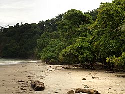 Cabo Blanco Strict Nature Reserve.jpg