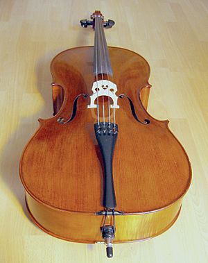 Archivo:Cello2