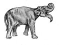 Deinotherium1