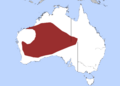 Desert Death Adder