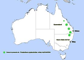 Distribución de Prostanthera cryptandroides subsp. euphrasioides en Australia, inspirado de Conn B.J., 1999