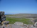 Dunaonghasa2