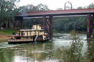 Archivo:Echuca-Moama rail bridge Stevage