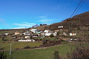 Archivo:Gillón, Cangas del Narcea