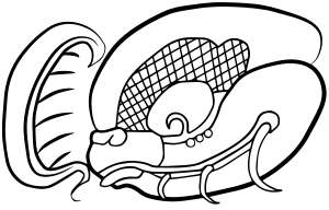 Archivo:Glifo emblema de Calakmul