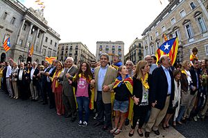 Archivo:Imatges oficials Diada Nacional de Catalunya 2013 gencat (13)