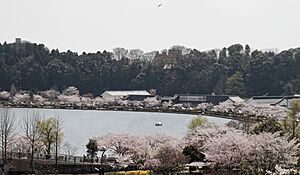 Archivo:Kairakuen (6979453950)