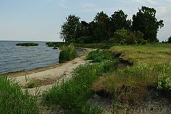 Archivo:Lagoon of Szczecin seen from Karsibór Island