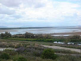 Lagunafuentepiedra.JPG