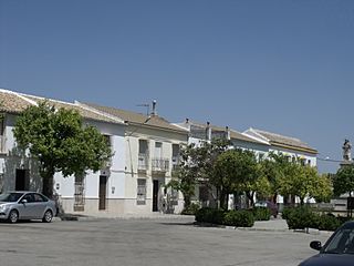 Lora de Estepa 18.jpg