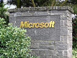 Archivo:Microsoft sign closeup
