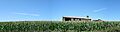 Millo en Bretoña - panoramio