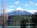 MtMcLoughlin
