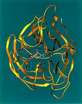 Archivo:Neuraminidase Ribbon Diagram