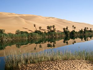 Archivo:Oasis in Lybia