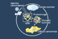 Oncogenes illustration-es