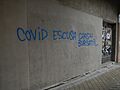 Pánico por el coronavirus (49685772261)