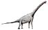 Pelorosaurus2.jpg