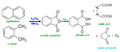 Phthalic acid Synthesis 1