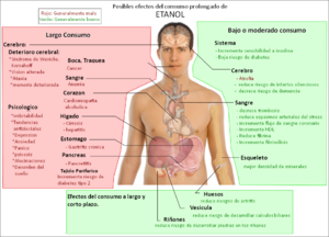 Archivo:Possible long-term effects of ethanol-spanish