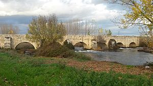 Archivo:Puente románico de Villamuriel de Cerrato