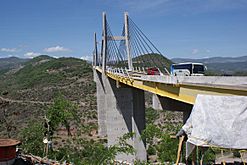 Rio Balsas debajo del puente Solidaridad III