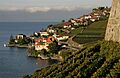 Rivaz-Dorf