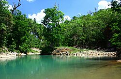 San Miguel Branch, Toledo District, Belize.jpg
