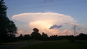 Archivo:Single-cell Thunderstorm in a No-shear Environment.