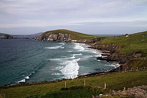 Archivo:Slea Head-04-Klippen-2017-gje