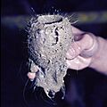 Sponge glas-fibers m60 hg