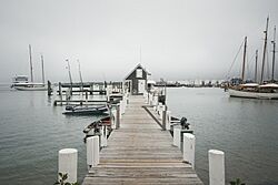 Tisbury Massachusetts Harbor.jpg