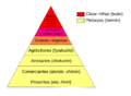 Tokugawa society structure