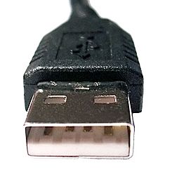 USB Male Plug Type A.jpg