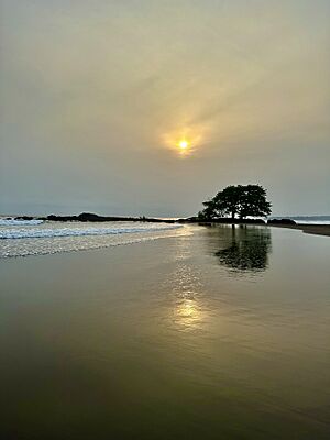 Archivo:Ureka beach
