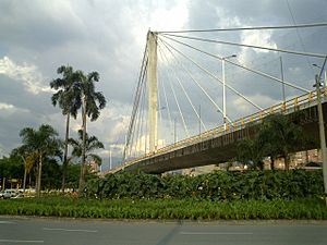Archivo:Viaducto-Envigado