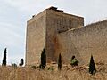 01c Villavellid castillo Ni