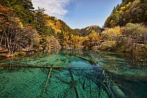 Archivo:1 jiuzhaigou valley wu hua hai 2011b